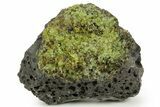 Peridot Crystals in Basalt - Arizona #368576-1